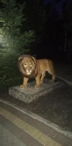 Фотография ТайGa 3